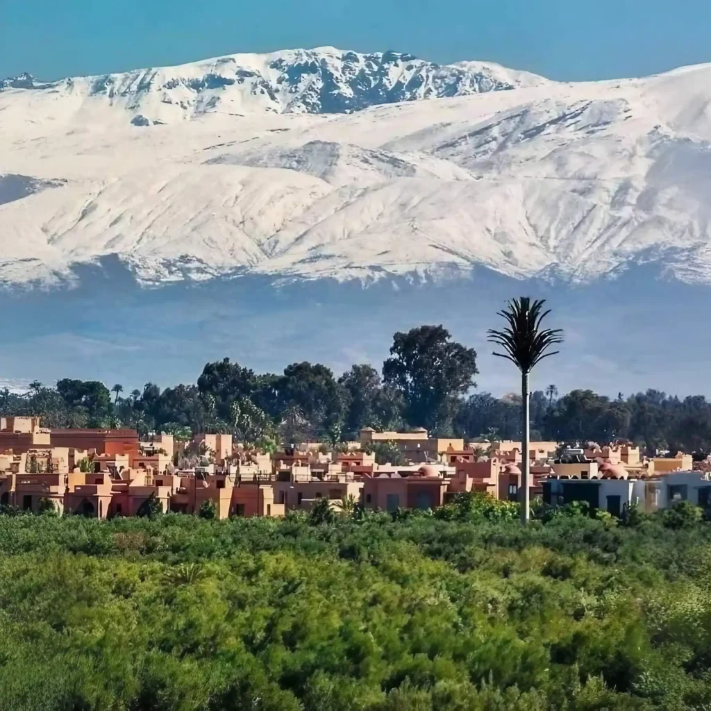 The High Atlas behind Marrakech