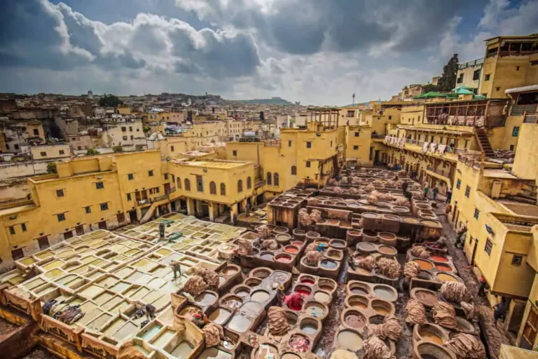 Chouara Tannery