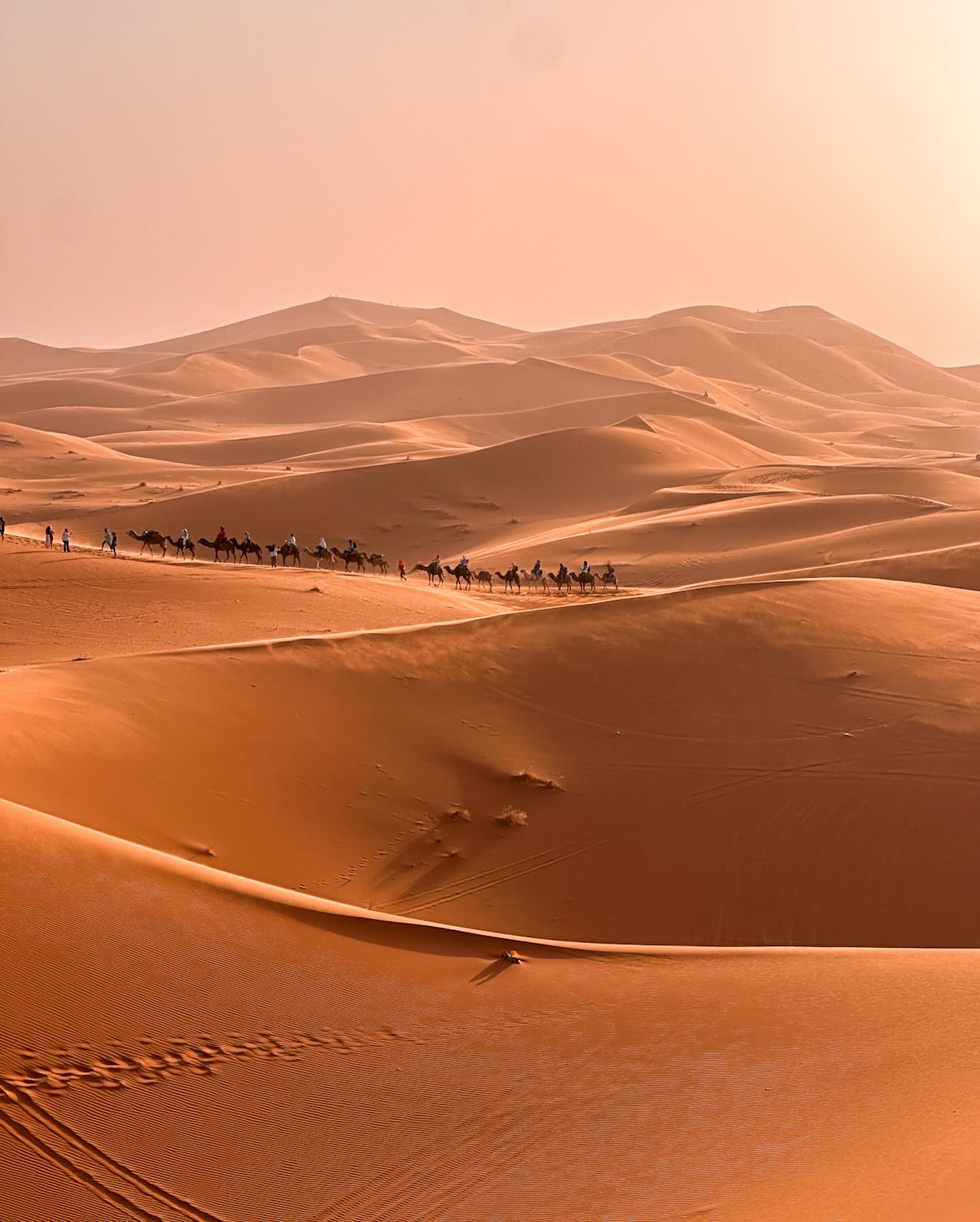 Marrakech to Merzouga in 2 Days: Honest Advice Before You Book