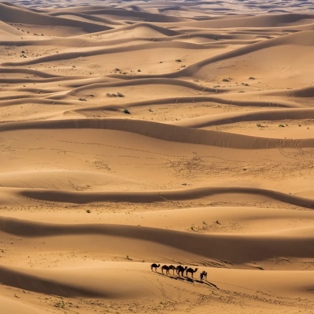 Sahara Deep Silence – 6 Days: Two Fixed Nights at the Wild Erg