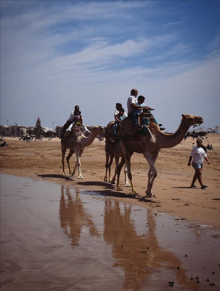 A Morocco Vacation With Kids: The Planning Guide Parents Actually Need
