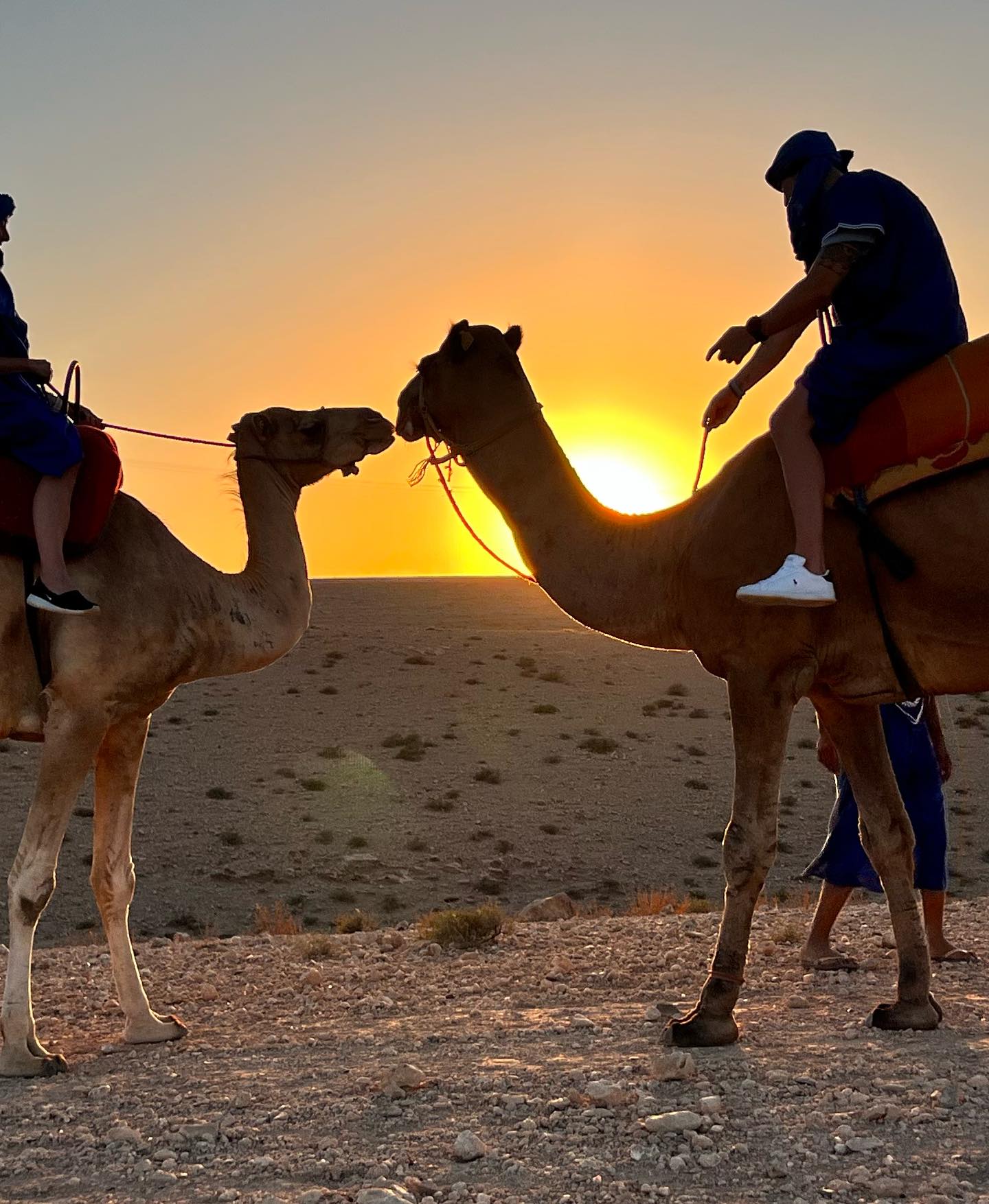 Camel Rides Near Agadir: Beach, Riverbank or Ranch?