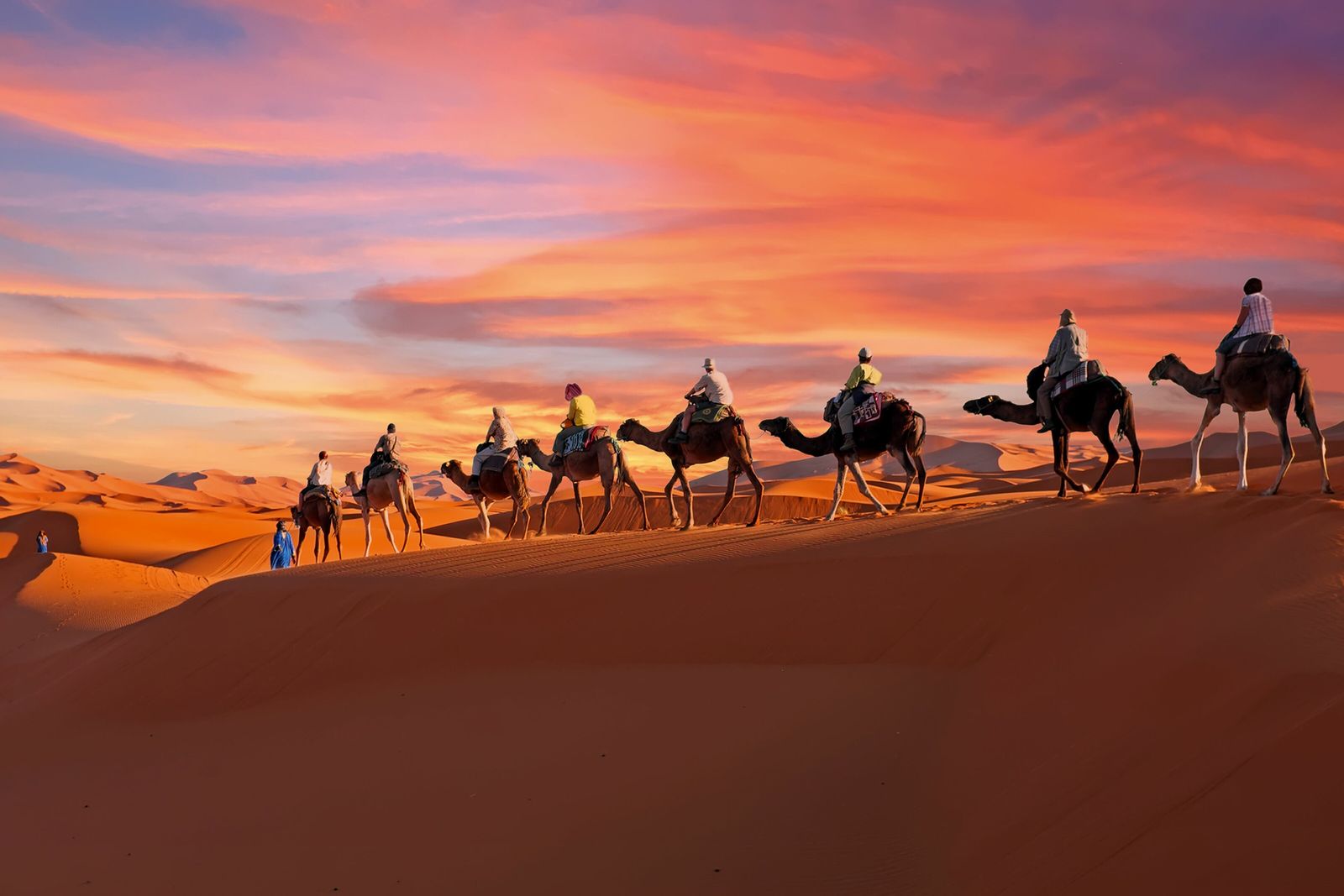 Camel Rides in Morocco: Where, How Long, and How to Choose Well