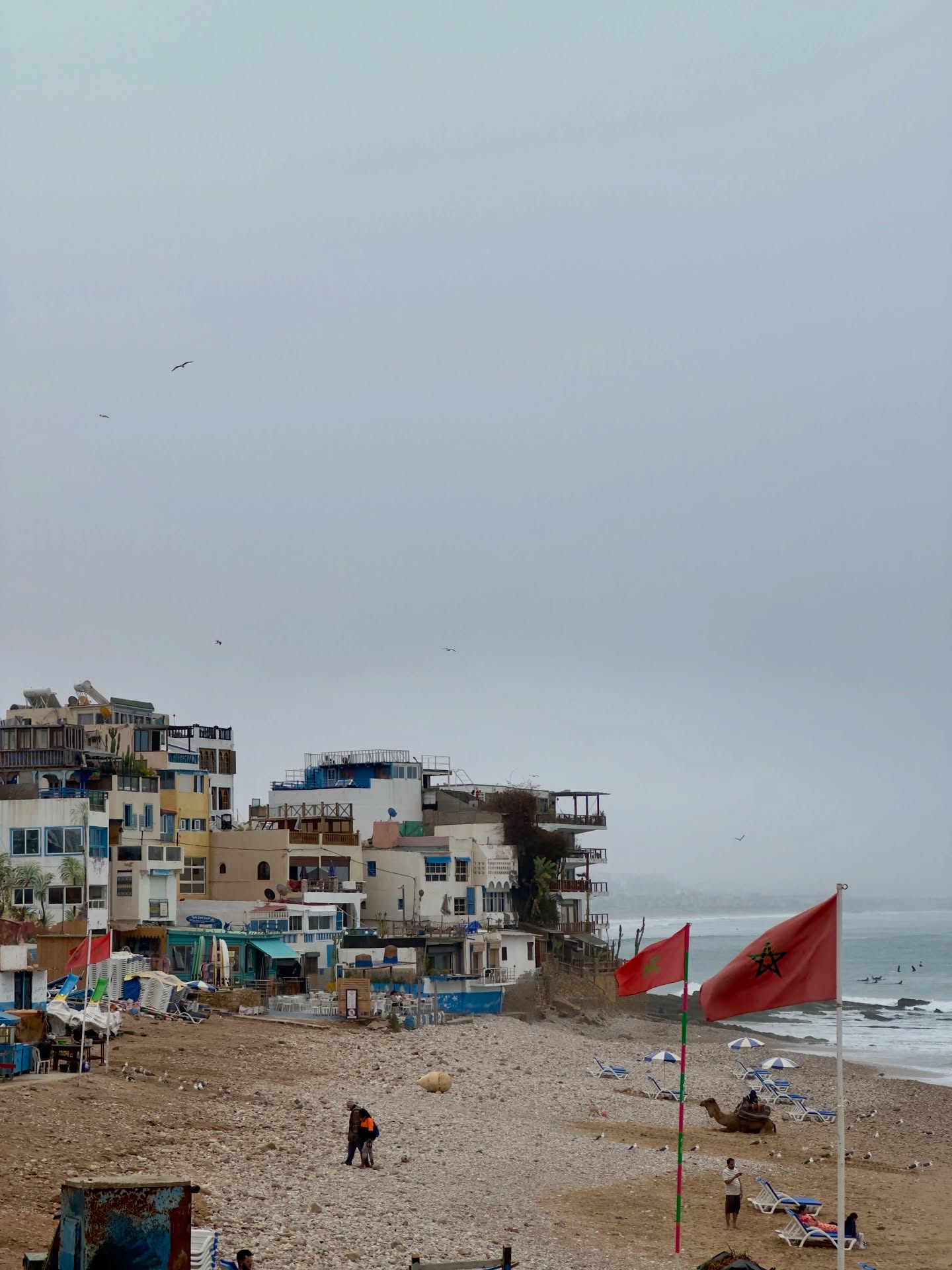 Timitar, Agadir: Where Amazigh Music Meets the World