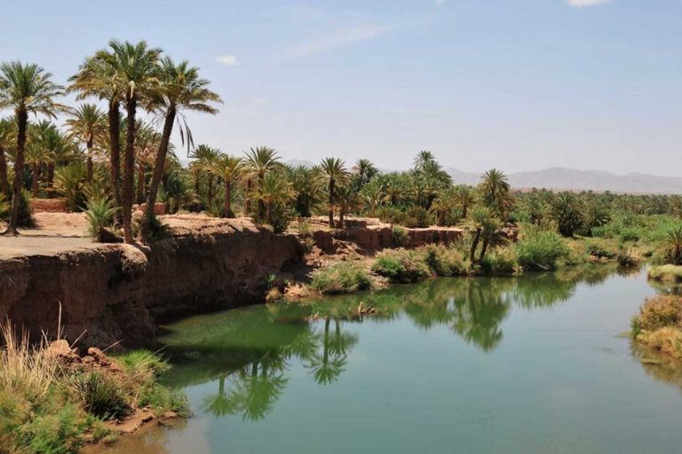 Out through the Draa