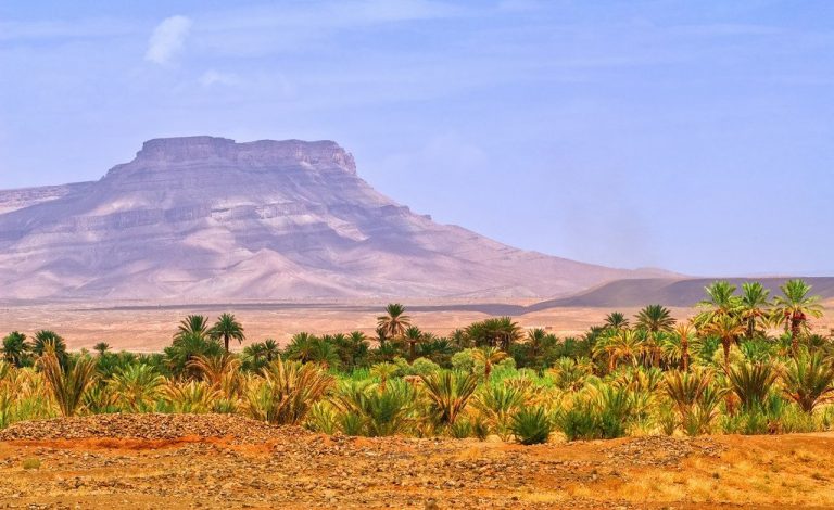 7-Day Morocco Tour from Casablanca: Imperial Cities & Sahara