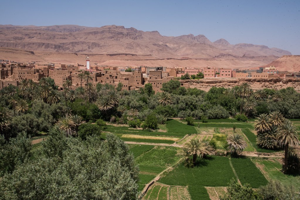 A view over the oasis near Tinerhir