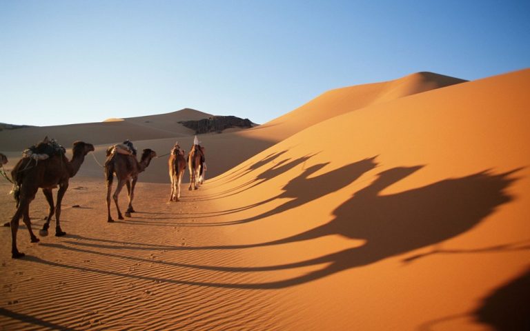 Fes — Midelt — Erfoud — Merzouga