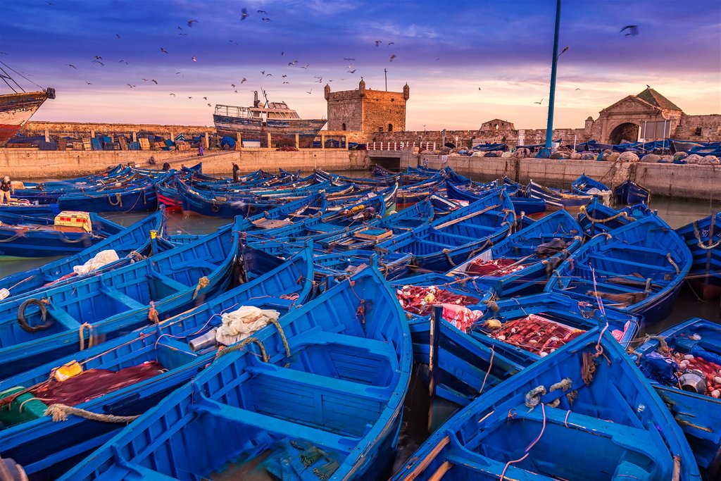 highlights-of-morocco-casablanca-to-essaouira-15-days-day13