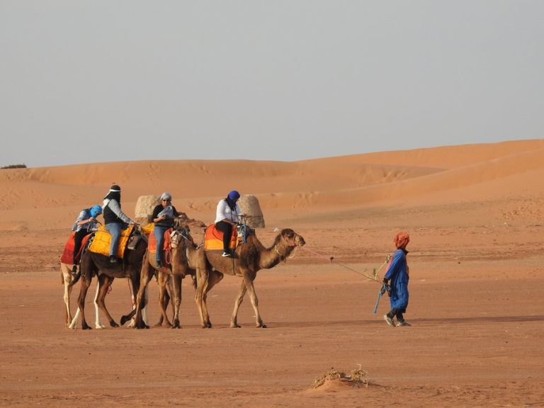 Fes to the dunes, camels at dusk