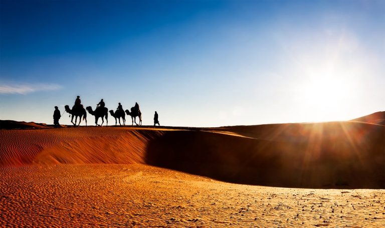 Fossils, desert towns and the Erg Chebbi