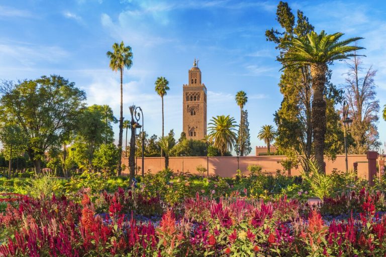 Marrakech, the grand tour