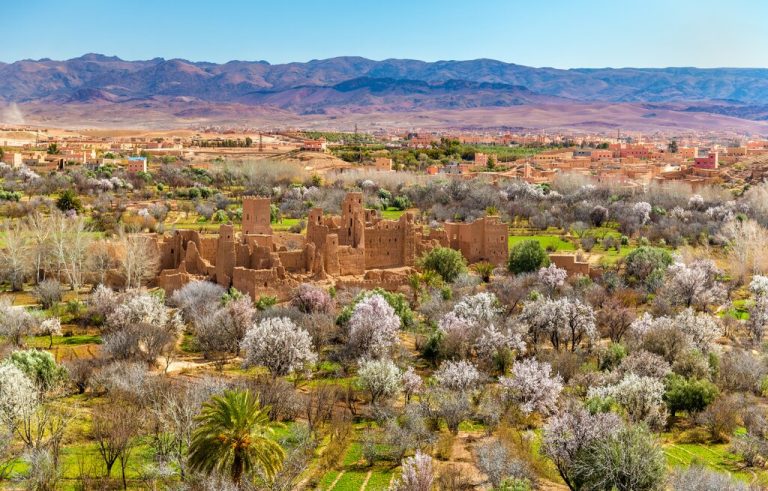 A day in the Valley of Roses