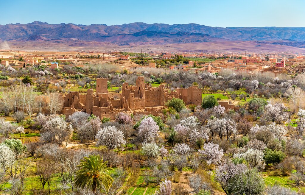 moroccan-cities-and-nature-rabat-chefchaouen-fes-marrakech-and-the-sahara-15-day-day8