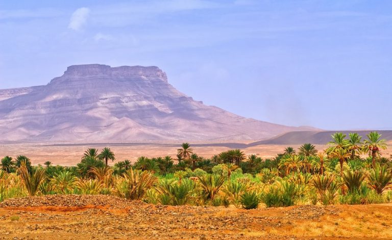 Dunes at dawn, the Draa to Ouarzazate