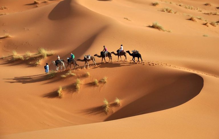 Morocco for Families: Fes, Marrakech & Essaouira – 15 Days