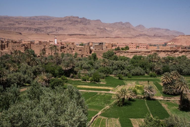 Oases, gorges and film country