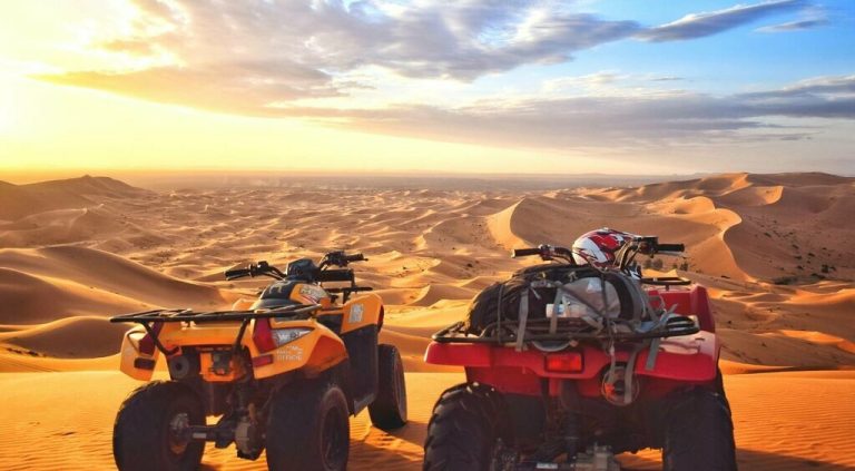 Desert safari day