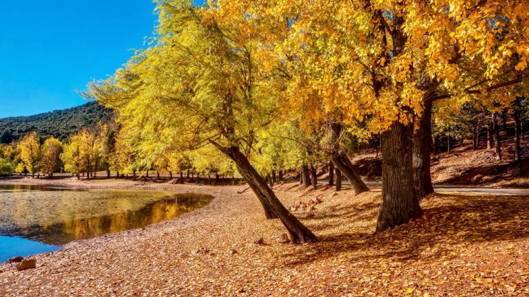 Ifrane National Park to Azrou