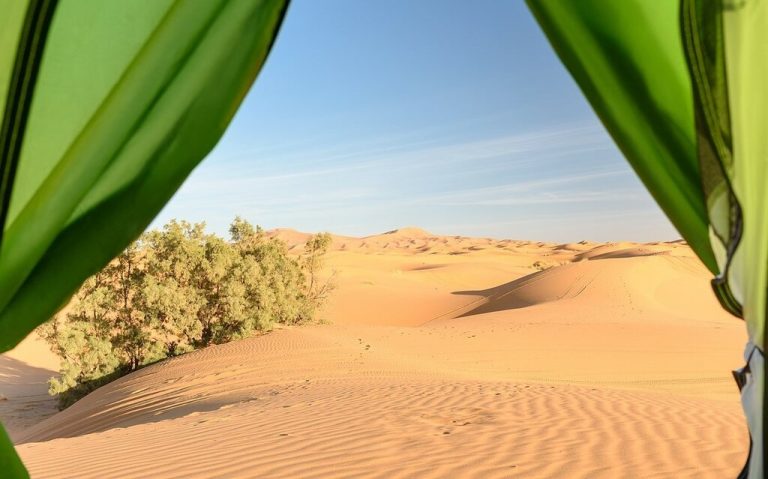 A full desert day