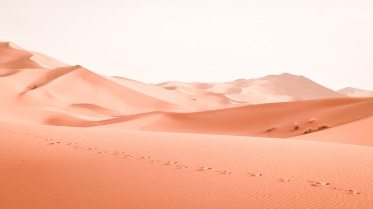 Desert day at Merzouga